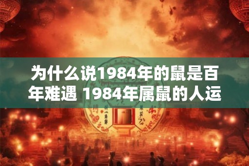 为什么说1984年的鼠是百年难遇 1984年属鼠的人运气怎么样