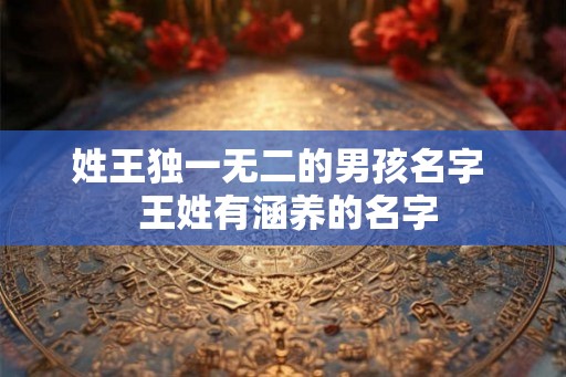 姓王独一无二的男孩名字  王姓有涵养的名字