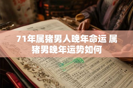 71年属猪男人晚年命运 属猪男晚年运势如何