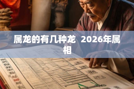 属龙的有几种龙  2026年属相