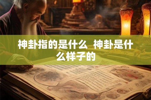 神卦指的是什么  神卦是什么样子的