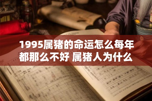 1995属猪的命运怎么每年都那么不好 属猪人为什么那么倒霉