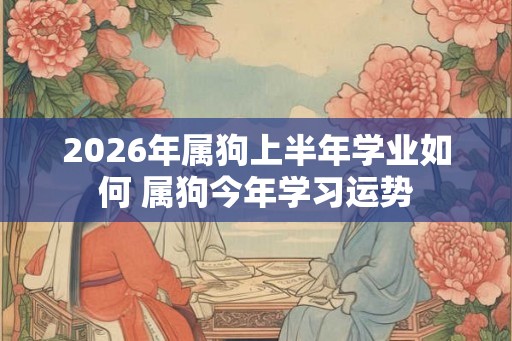 2026年属狗上半年学业如何 属狗今年学习运势