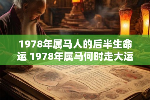 1978年属马人的后半生命运 1978年属马何时走大运