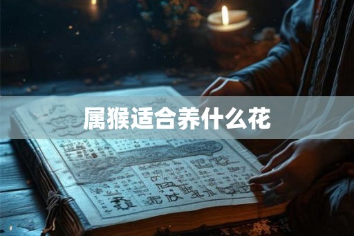 属猴适合养什么花