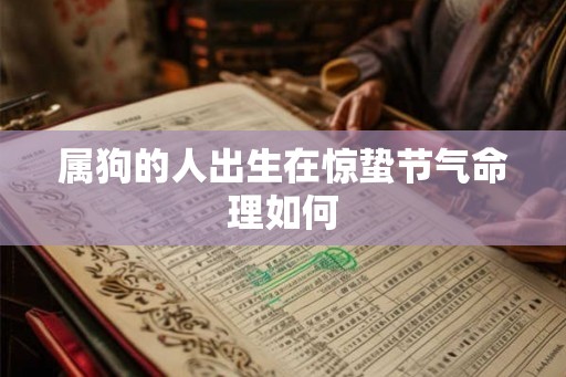 属狗的人出生在惊蛰节气命理如何