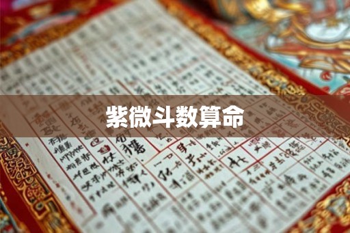 紫微斗数算命