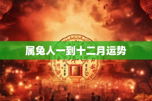 属兔人一到十二月运势