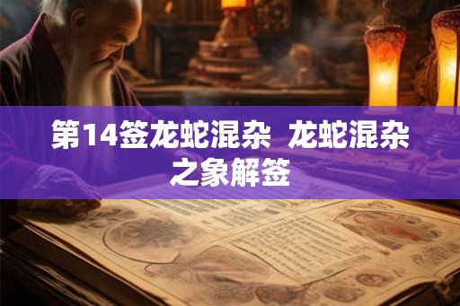 第14签龙蛇混杂  龙蛇混杂之象解签