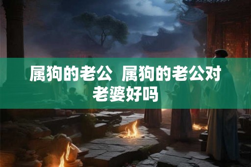 属狗的老公  属狗的老公对老婆好吗