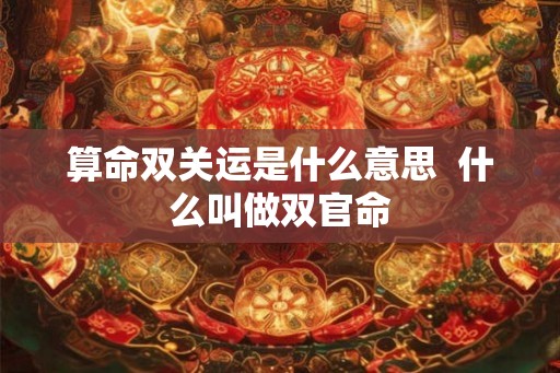 算命双关运是什么意思  什么叫做双官命