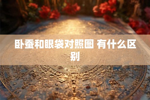 卧蚕和眼袋对照图 有什么区别