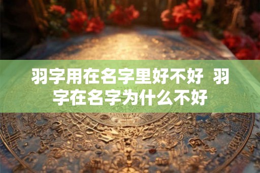 羽字用在名字里好不好  羽字在名字为什么不好