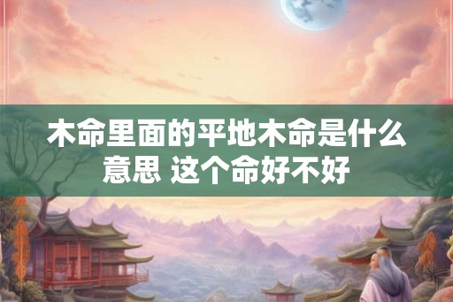 木命里面的平地木命是什么意思 这个命好不好