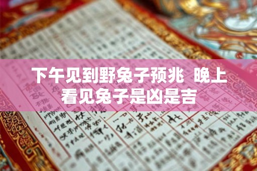 下午见到野兔子预兆  晚上看见兔子是凶是吉