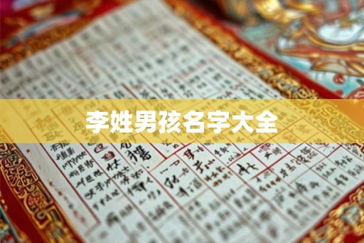 李姓男孩名字大全
