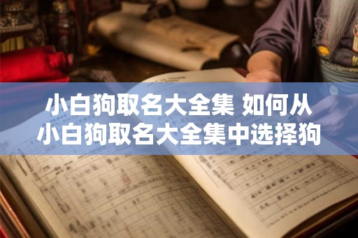 小白狗取名大全集 如何从小白狗取名大全集中选择狗名