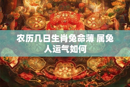 农历几日生肖兔命薄 属兔人运气如何