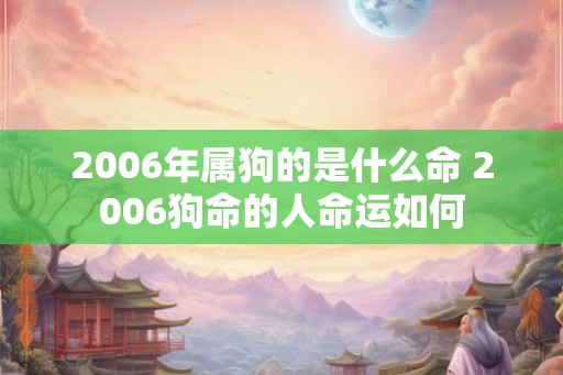 2006年属狗的是什么命 2006狗命的人命运如何