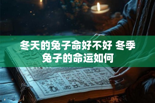 冬天的兔子命好不好 冬季兔子的命运如何