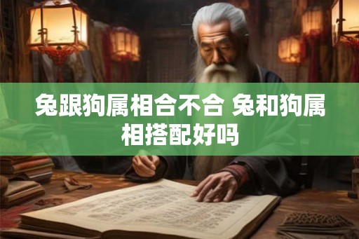 兔跟狗属相合不合 兔和狗属相搭配好吗