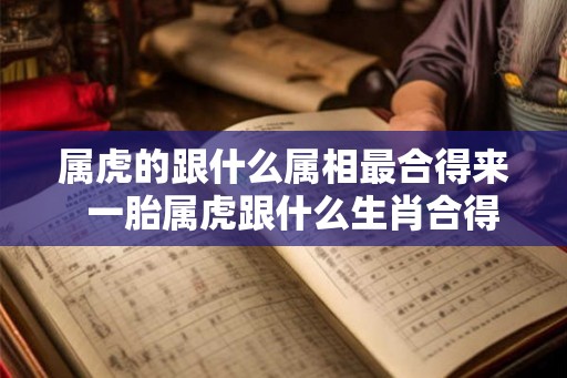 属虎的跟什么属相最合得来  一胎属虎跟什么生肖合得来
