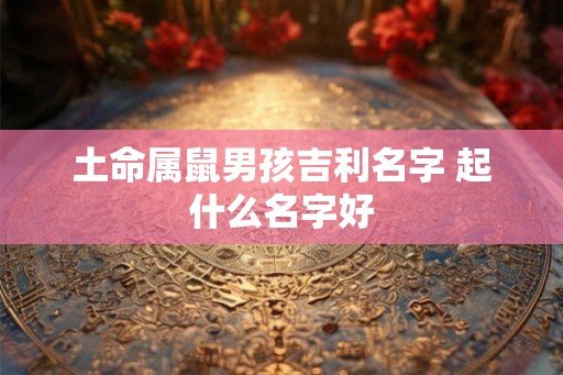 土命属鼠男孩吉利名字 起什么名字好 土命属鼠男孩吉利名字 起什么名字好