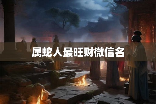 属蛇人最旺财微信名