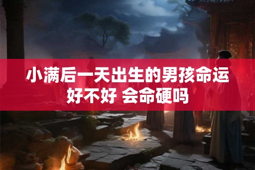 小满后一天出生的男孩命运好不好 会命硬吗