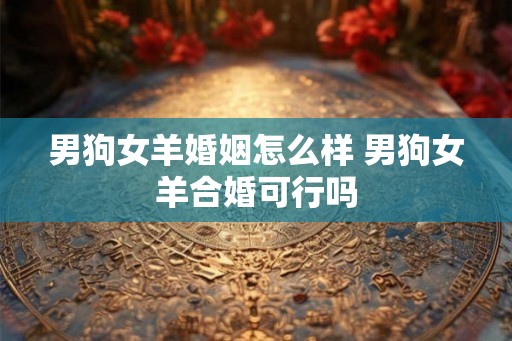 男狗女羊婚姻怎么样 男狗女羊合婚可行吗 男狗女羊婚姻怎么样 男狗女羊合婚可行吗