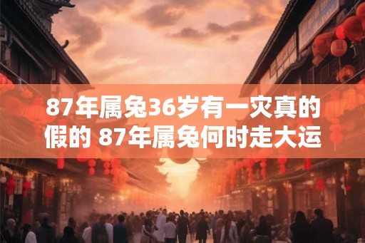 87年属兔36岁有一灾真的假的 87年属兔何时走大运
