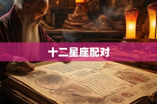 十二星座配对