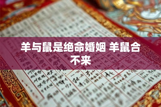 羊与鼠是绝命婚姻 羊鼠合不来 羊与鼠是绝命婚姻 羊鼠合不来