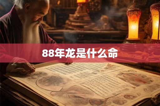 88年龙是什么命