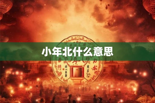 小年北什么意思