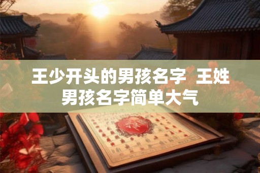 王少开头的男孩名字  王姓男孩名字简单大气