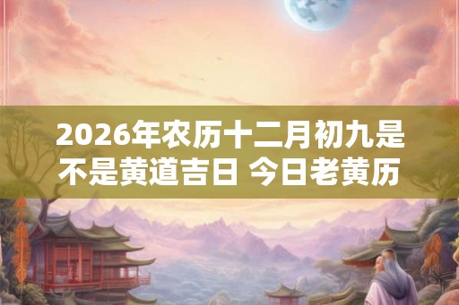 2026年农历十二月初九是不是黄道吉日 今日老黄历如何