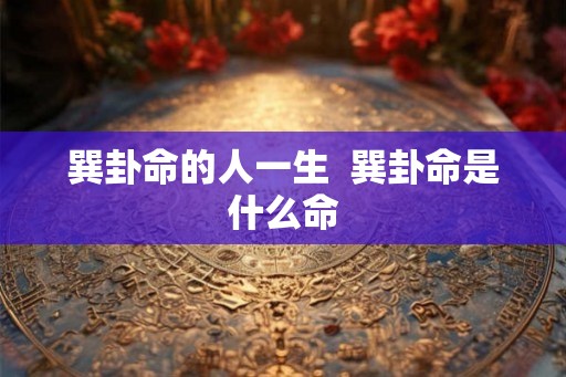 巽卦命的人一生  巽卦命是什么命