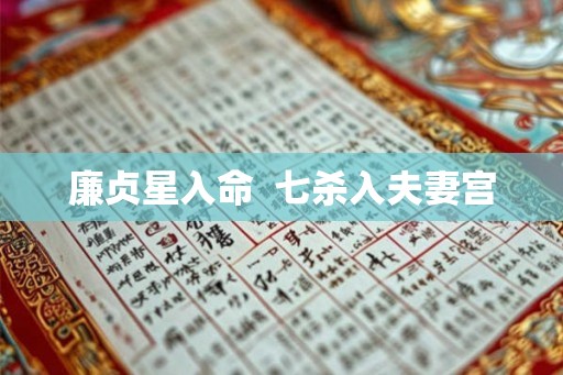 廉贞星入命 七杀入夫妻宫 廉贞星入命 七杀入夫妻宫