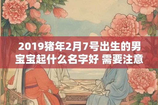 2019猪年2月7号出生的男宝宝起什么名字好 需要注意什么