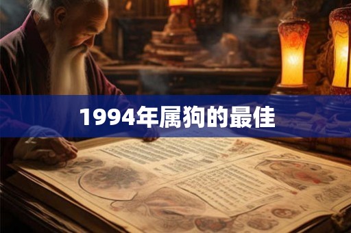1994年属狗的最佳 1994年属狗的最佳