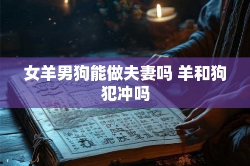 女羊男狗能做夫妻吗 羊和狗犯冲吗 女羊男狗能做夫妻吗 羊和狗犯冲吗