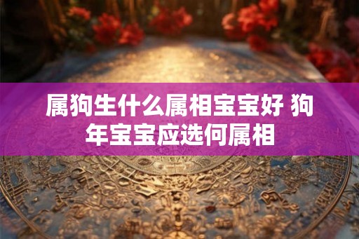 属狗生什么属相宝宝好 狗年宝宝应选何属相
