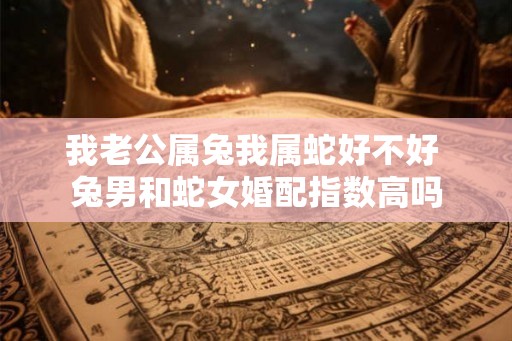 我老公属兔我属蛇好不好 兔男和蛇女婚配指数高吗 我老公属兔我属蛇好不好 兔男和蛇女婚配指数高吗