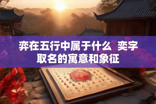 弈在五行中属于什么  奕字取名的寓意和象征