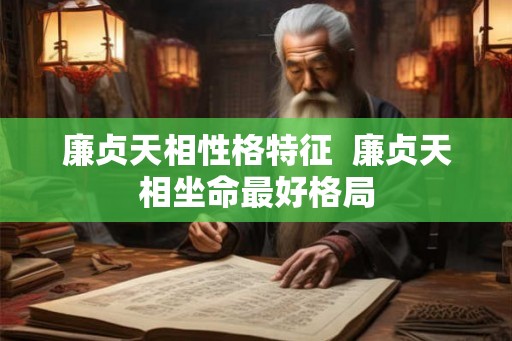 廉贞天相性格特征  廉贞天相坐命最好格局