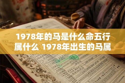 1978年的马是什么命五行属什么 1978年出生的马属于什么五行