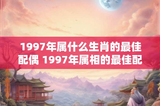 1997年属什么生肖的最佳配偶 1997年属相的最佳配偶是什么 1997年属什么生肖的最佳配偶 1997年属相的最佳配偶是什么