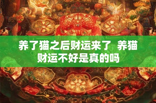 养了猫之后财运来了 养猫财运不好是真的吗 养了猫之后财运来了 养猫财运不好是真的吗