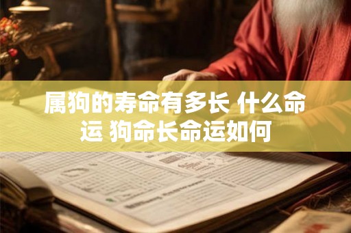 属狗的寿命有多长 什么命运 狗命长命运如何